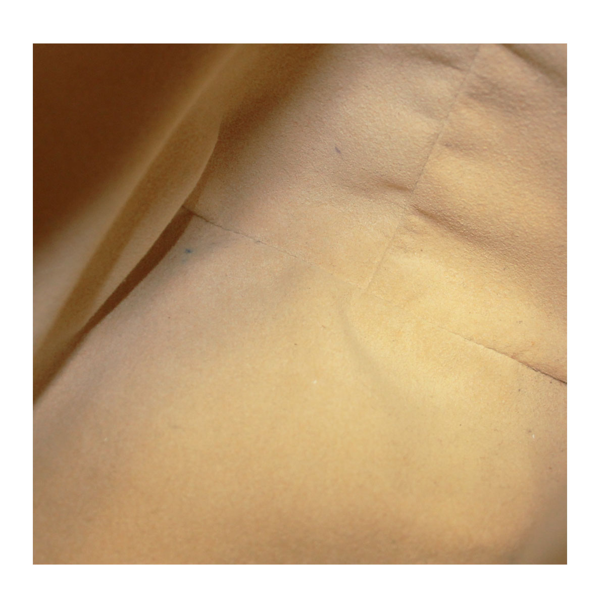 Louis Vuitton Bow Tie Bags Literacy Basics